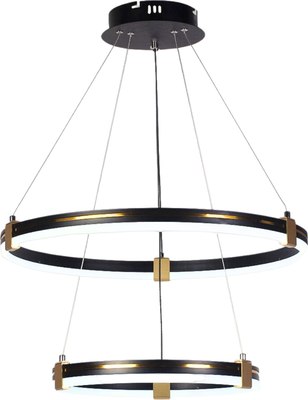 Потолочный светильник Aitin-Pro D6043/2 - фото