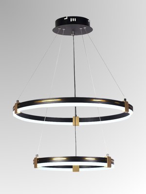 Потолочный светильник Aitin-Pro D6043/2