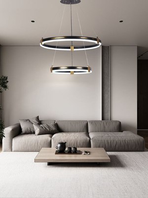 Потолочный светильник Aitin-Pro D6043/2