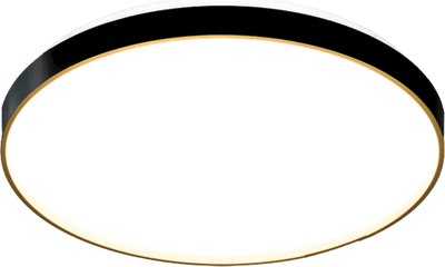 Потолочный светильник Aitin-Pro HY61079 2x60Вт - фото