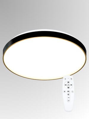 Потолочный светильник Aitin-Pro HY61079 2x60Вт