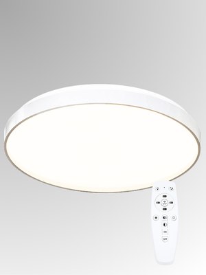 Потолочный светильник Aitin-Pro HY61079 2x60Вт