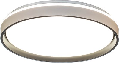 Потолочный светильник Aitin-Pro HY61001 2x60Вт - фото