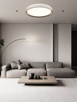 Потолочный светильник Aitin-Pro HY61001 2x60Вт