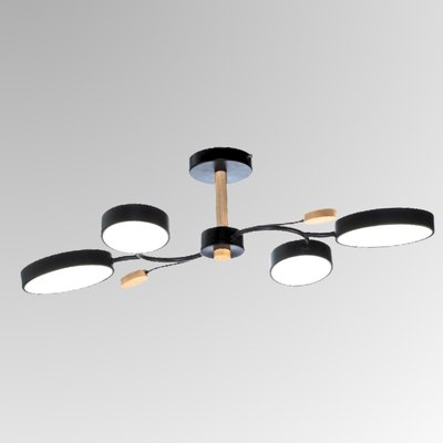 Потолочный светильник Aitin-Pro X9894/4 - фото