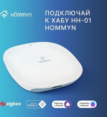 Умное реле Hommyn Zigbee RLZBNN02