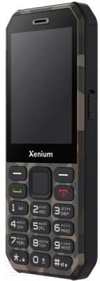 Мобильный телефон Xenium X300 / CTX300GC/00 - фото