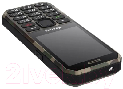 Мобильный телефон Xenium X300 / CTX300GC/00