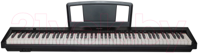 Цифровое фортепиано Aramius APS-100 BK