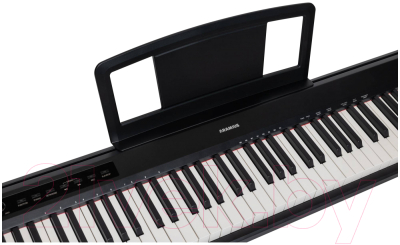 Цифровое фортепиано Aramius APS-100 BK