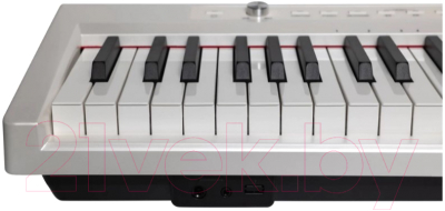 Цифровое фортепиано Aramius APS-100 WH