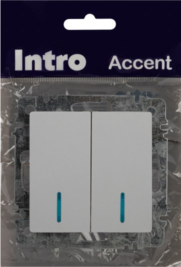 Выключатель INTRO Accent 6-105-01 / Б0063505