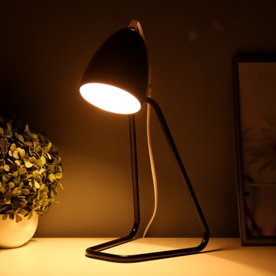 Настольная лампа Risalux Стенди 10186148