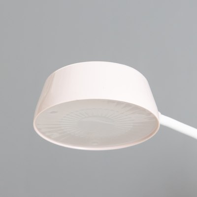 Настольная лампа Risalux Зайчик 10186157