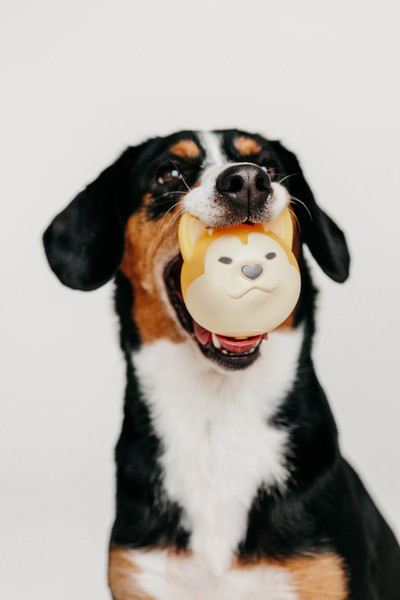 Игрушка для собак КАСКАД Собака Норд 80600030