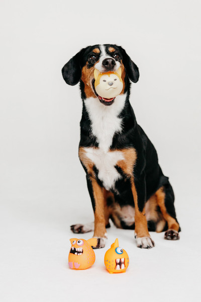 Игрушка для собак КАСКАД Собака Норд 80600030