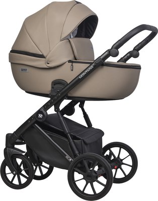 Детская универсальная коляска Riko Montana Ecco 3 в 1 - фото