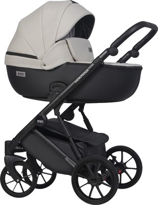 Детская универсальная коляска Riko Montana Ecco 3 в 1 - фото