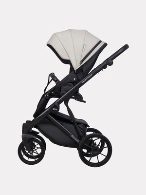 Детская универсальная коляска Riko Montana Ecco 3 в 1