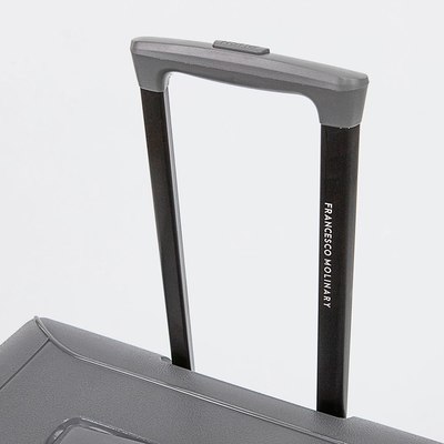 Чемодан на колесах Francesco Molinary 338-2701/2-20DGR