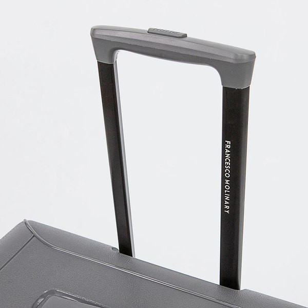 Чемодан на колесах Francesco Molinary 338-2701/2-24DGR