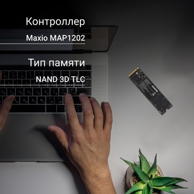 SSD диск Digma Mega M2 M.2 2280 2TB DGSM3002TM23T