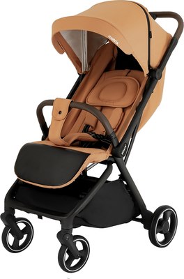 Детская прогулочная коляска Pituso Matrix / A19