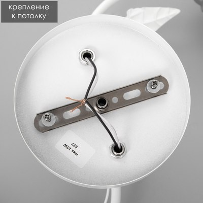 Потолочный светильник BayerLux Меган 9049716