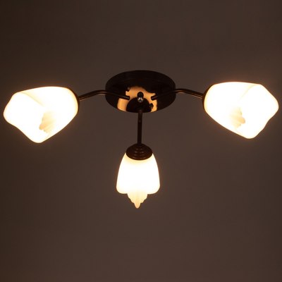 Люстра BayerLux Оникс 4533459