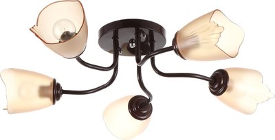 Люстра BayerLux 1341003/5BR / 4533445 - фото