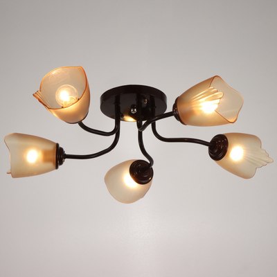 Люстра BayerLux 1341003/5BR / 4533445