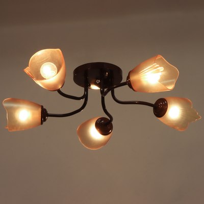 Люстра BayerLux 1341003/5BR / 4533445