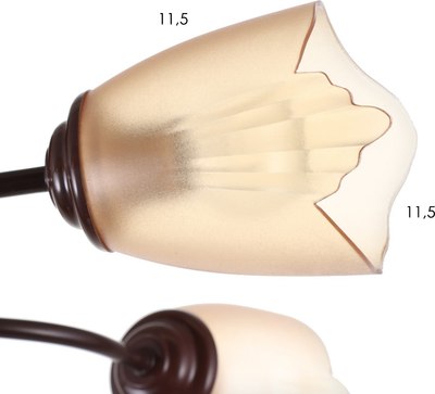 Люстра BayerLux 1341003/5BR / 4533445