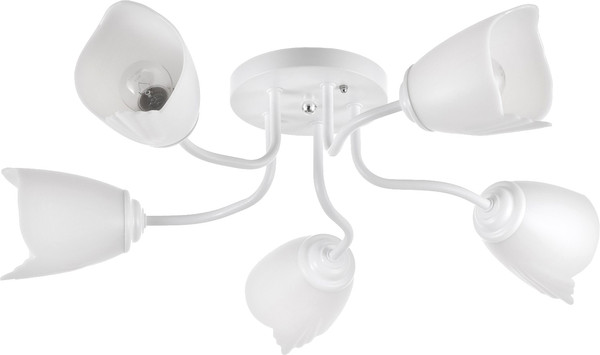 Люстра BayerLux 1341001/5WT / 4533434 - фото