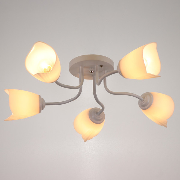 Люстра BayerLux 1341001/5WT / 4533434