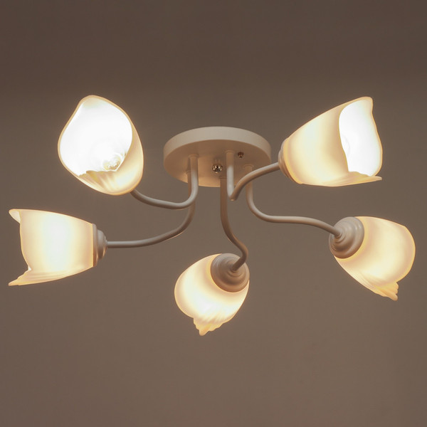 Люстра BayerLux 1341001/5WT / 4533434