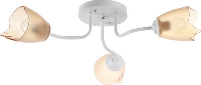 Люстра BayerLux 1341001/3BR / 4533431 - фото