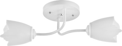 Потолочный светильник BayerLux 1341001/2WT / 4533430 - фото