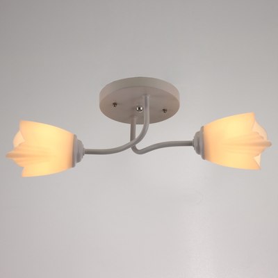 Потолочный светильник BayerLux 1341001/2WT / 4533430