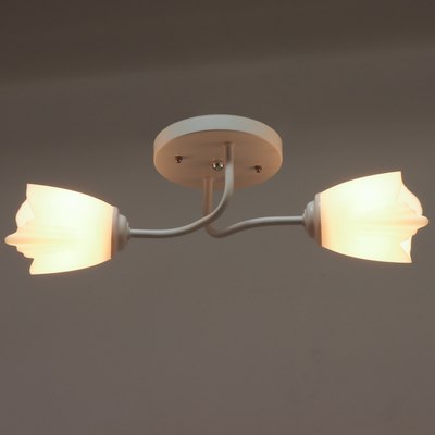 Потолочный светильник BayerLux 1341001/2WT / 4533430