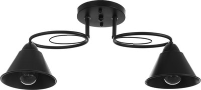 Потолочный светильник BayerLux Эдмас 9215094 - фото