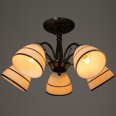 Люстра BayerLux Аннеди 9215528