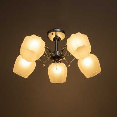 Люстра BayerLux Миранда 9643957