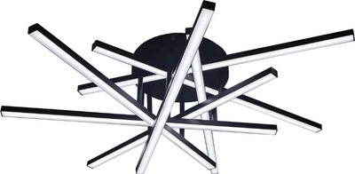 Потолочный светильник Mirastyle XL-60123/7B SBK - фото