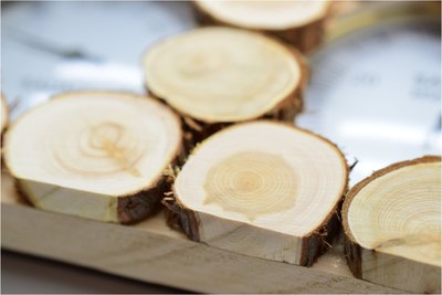 Термогигрометр для бани Doorwood TH-21-JS