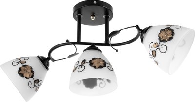 Люстра BayerLux Арья 9920210 - фото