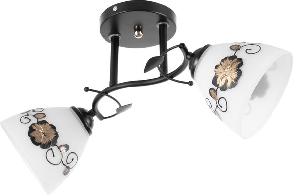 Потолочный светильник BayerLux Арья 9920209 - фото