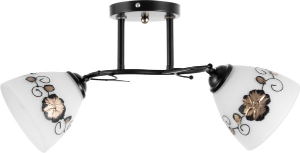 Потолочный светильник BayerLux Арья 9920209