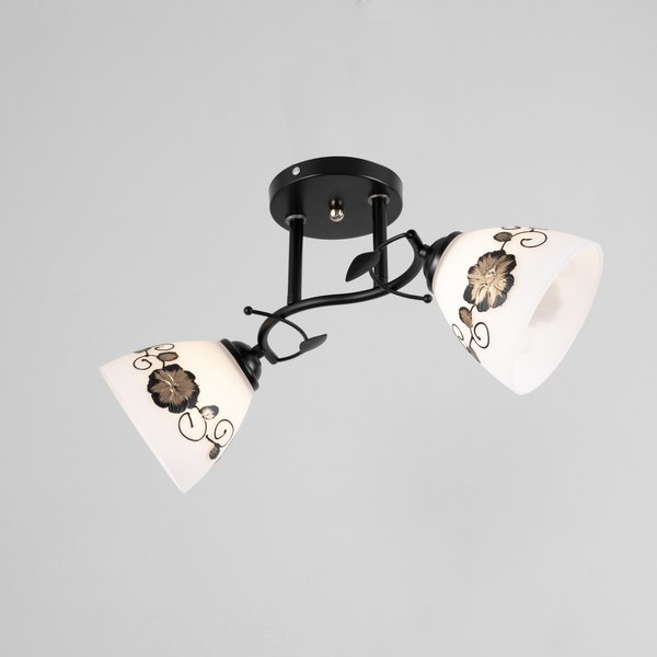 Потолочный светильник BayerLux Арья 9920209