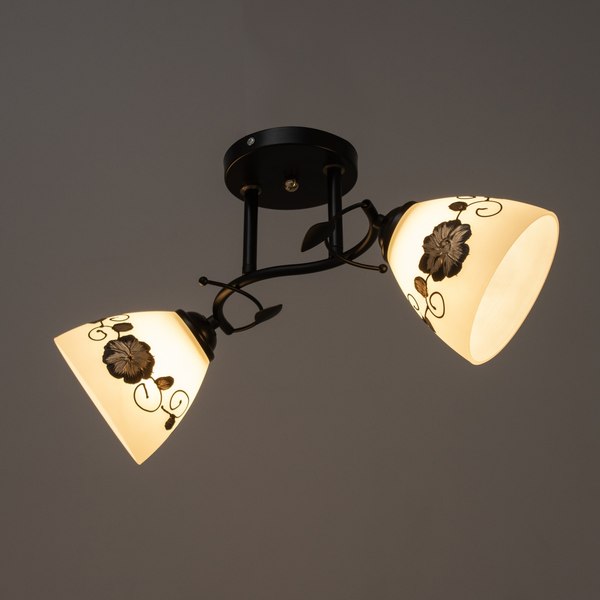 Потолочный светильник BayerLux Арья 9920209